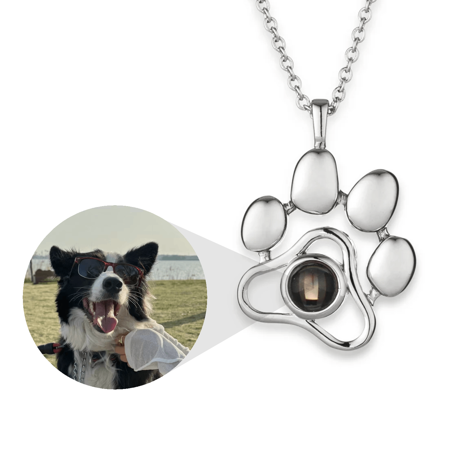Levavenci Memory Jewel: Premium-Grade S925 Sterling Silver Personalized Necklace - Levavenci - Eternal Paw / Classic Silver
