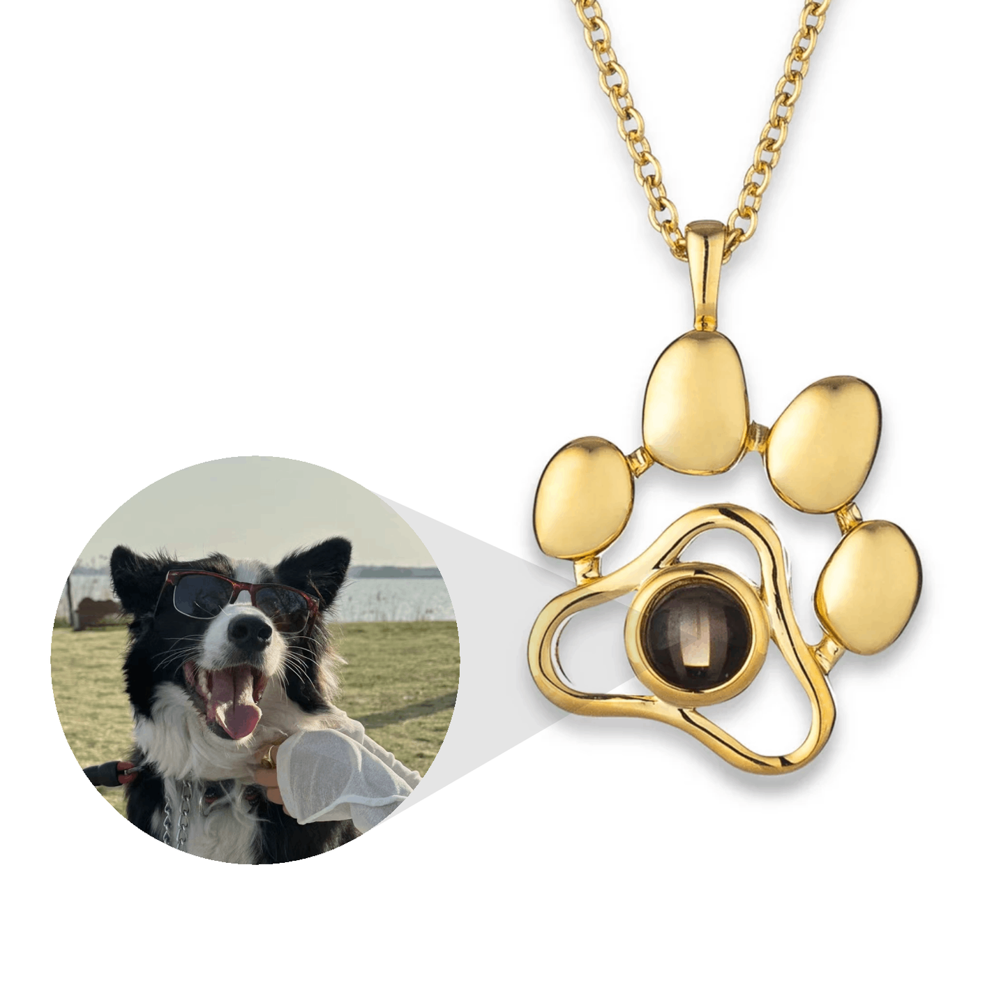 Levavenci Memory Jewel: Premium-Grade S925 Sterling Silver Personalized Necklace - Levavenci - Eternal Paw / Lustrous Gold