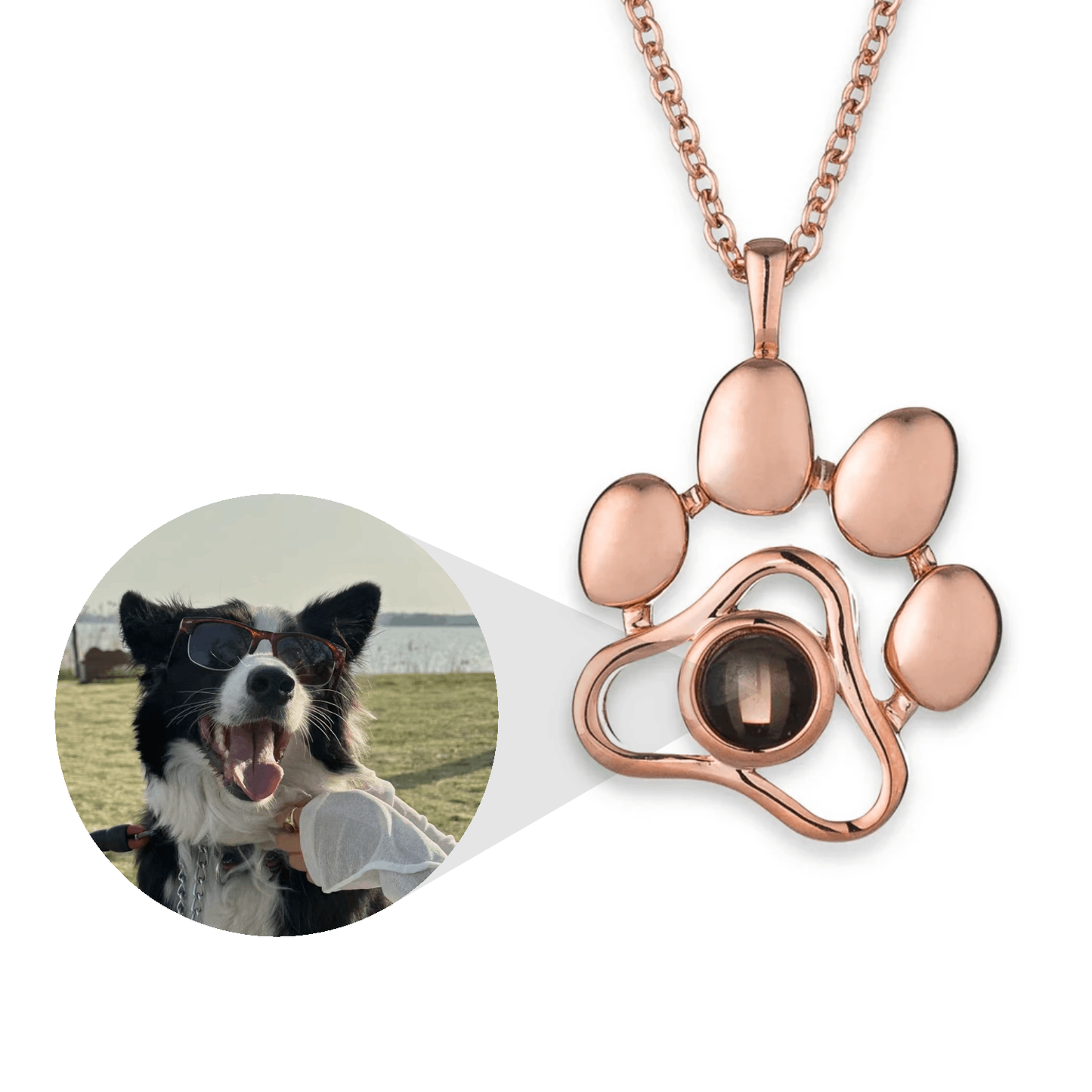 Levavenci Memory Jewel: Premium-Grade S925 Sterling Silver Personalized Necklace - Levavenci - Eternal Paw / Elegant Rose Gold