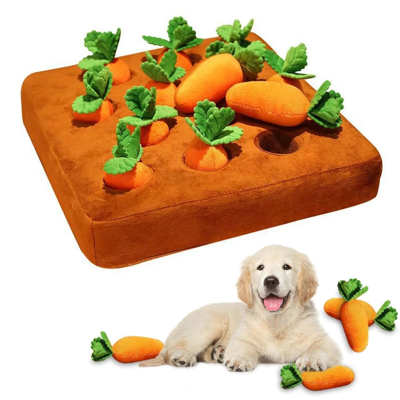 PetPaw Dog Carrot Toy - Levavenci -