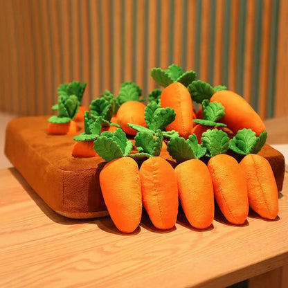 PetPaw Dog Carrot Toy - Levavenci -