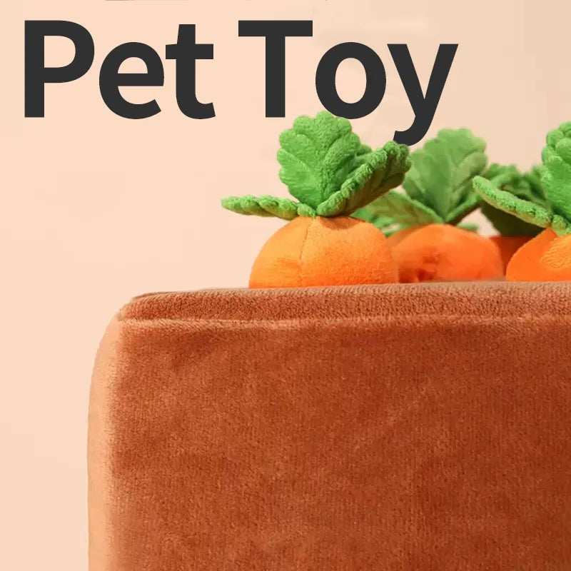 PetPaw Dog Carrot Toy - Levavenci -