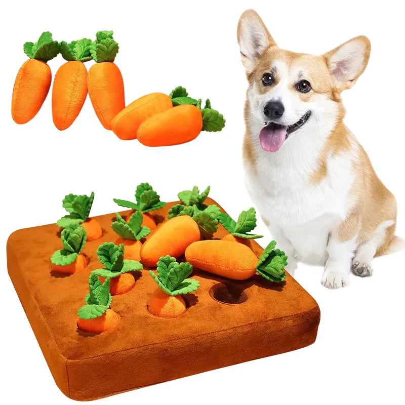 PetPaw Dog Carrot Toy - Levavenci -