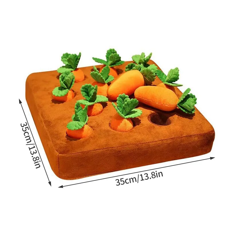 PetPaw Dog Carrot Toy - Levavenci - 12 Carrots | 13.8x13.8 inches (35x35cm)